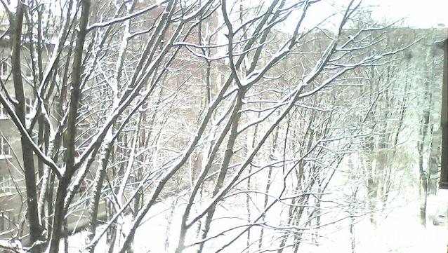 Тракторная болталка