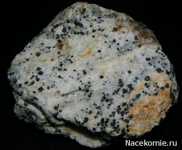 Компания кладоискателей. Болталка форума Минералов