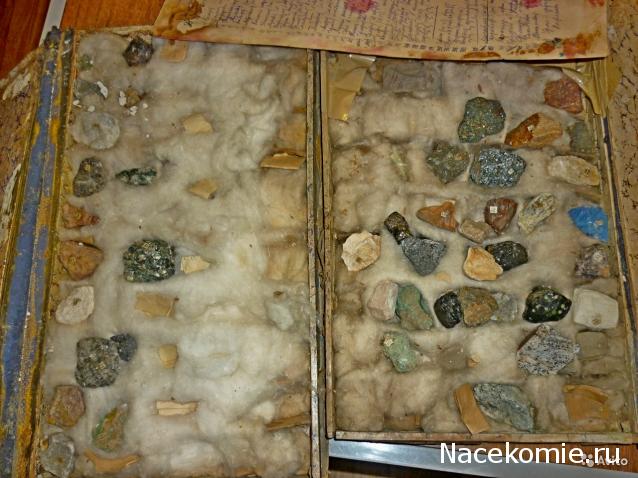 Компания кладоискателей. Болталка форума Минералов