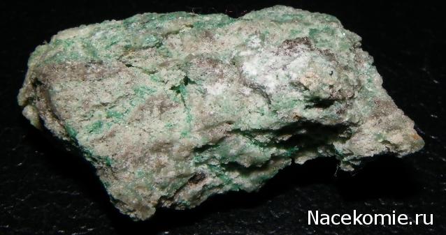 Компания кладоискателей. Болталка форума Минералов