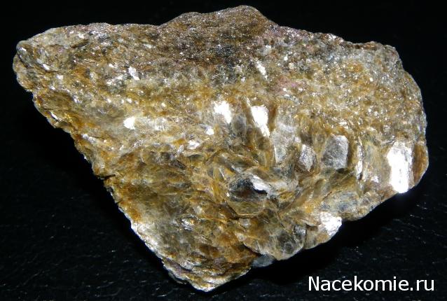 Компания кладоискателей. Болталка форума Минералов