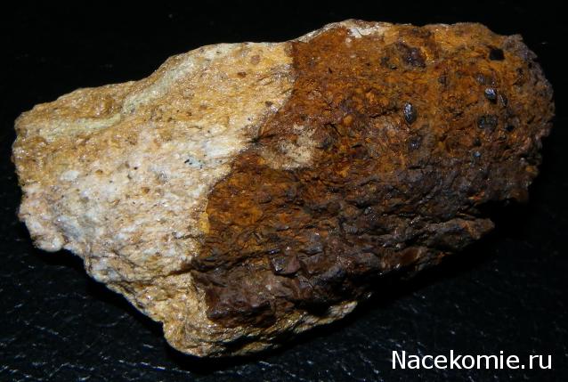 Компания кладоискателей. Болталка форума Минералов