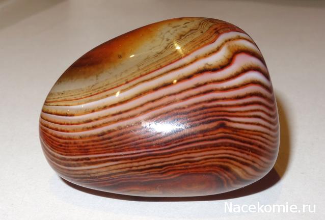 Минералы Подземные Богатства №18 - Сердолик