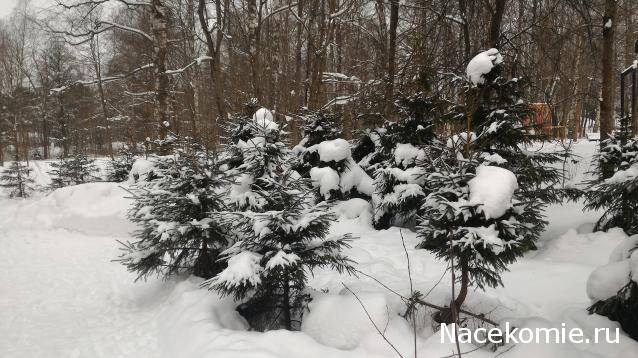 Мой любимый город или дорогие сердцу места