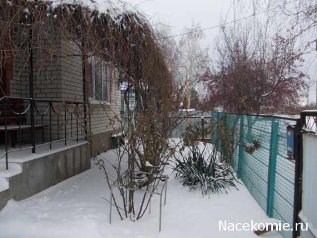 Куклы в народных костюмах – "Девчушки-болтушки"