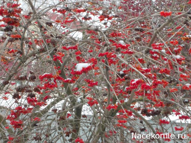 Куклы в народных костюмах – "Девчушки-болтушки"