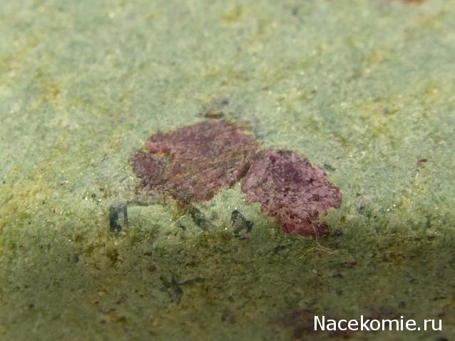 Коллекция минералов Titania