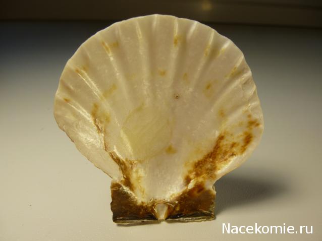 Коллекция минералов Titania