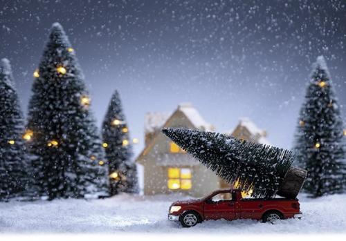 Конкурс "Зимняя фантазия"