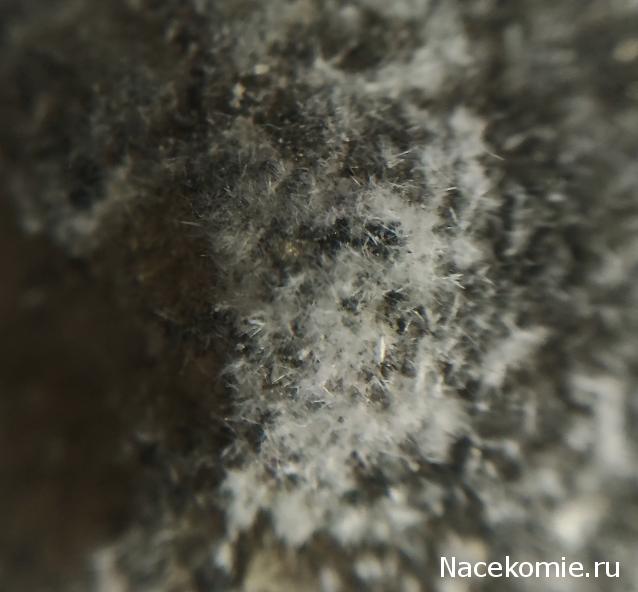 Компания кладоискателей. Болталка форума Минералов