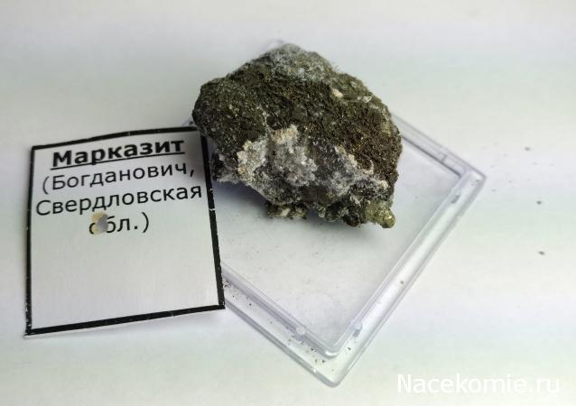 Компания кладоискателей. Болталка форума Минералов