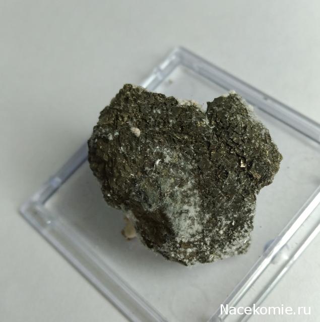 Компания кладоискателей. Болталка форума Минералов