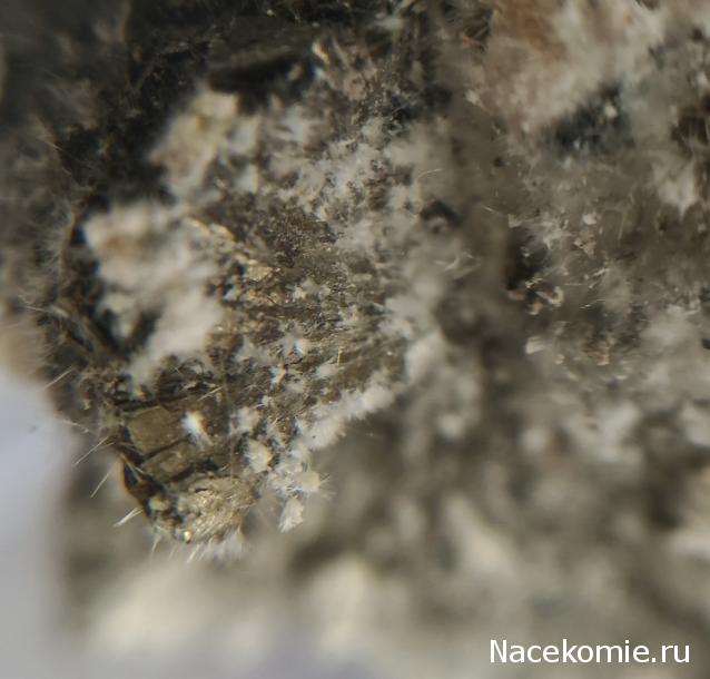 Компания кладоискателей. Болталка форума Минералов