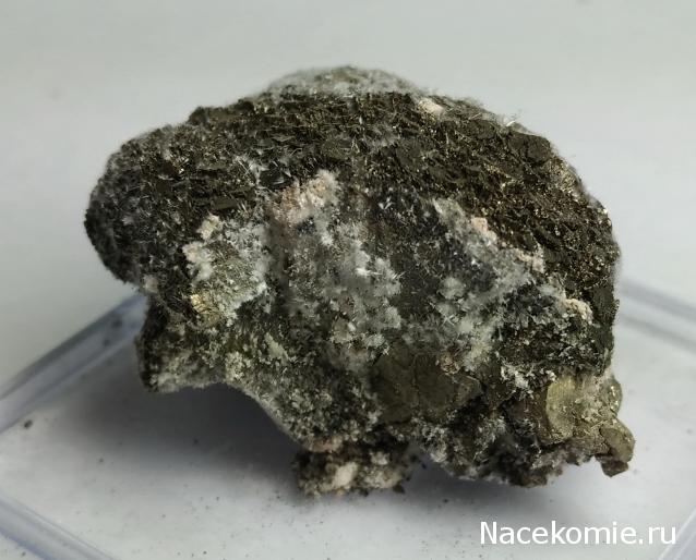 Компания кладоискателей. Болталка форума Минералов