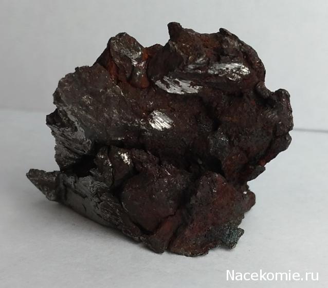 Компания кладоискателей. Болталка форума Минералов