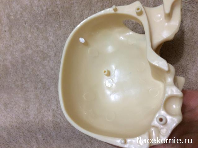 Тело Человека (DeAgostini) - График выхода и обсуждение