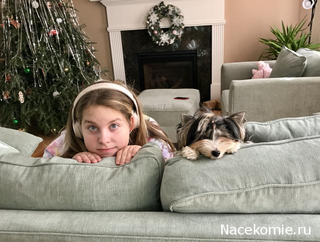 Игра "НОВОГОДНЯЯ СКАЗКА"