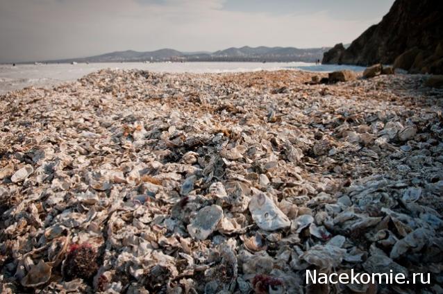 Кулинарный отдел