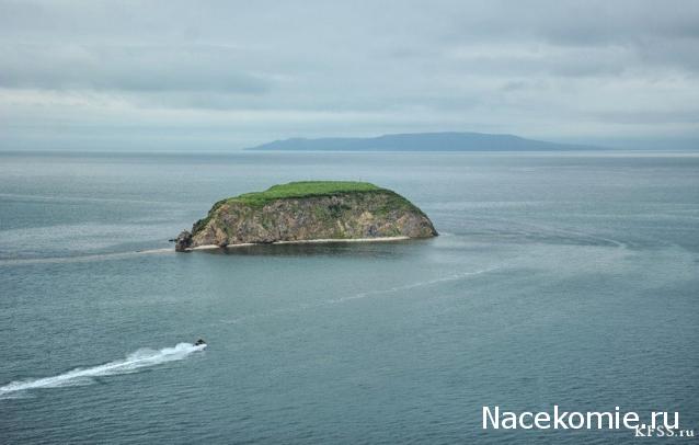 Кулинарный отдел