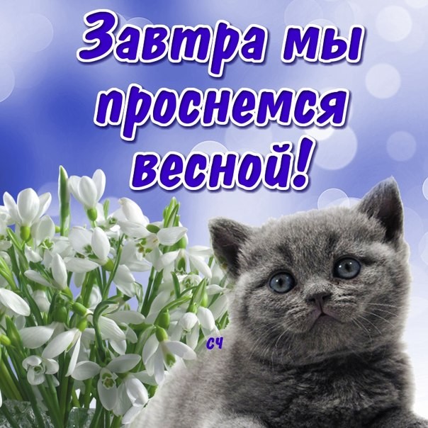 Тракторная болталка