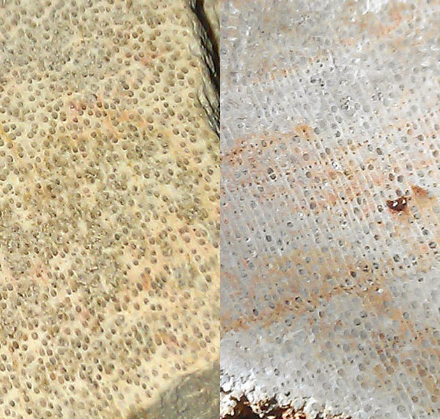 Компания кладоискателей. Болталка форума Минералов