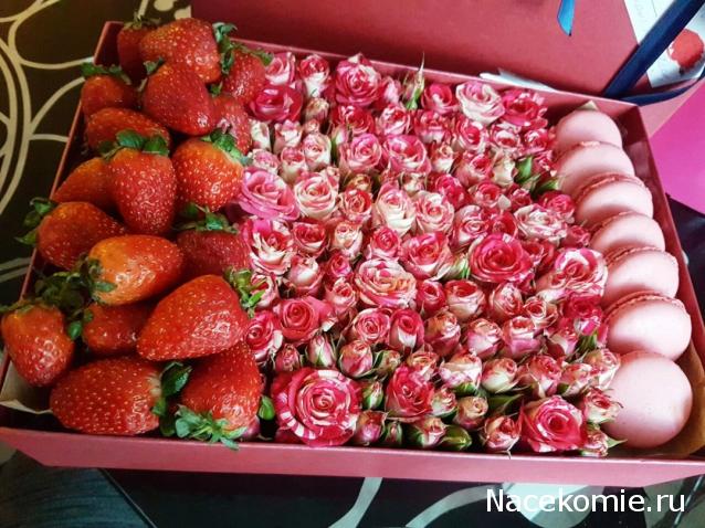 Наши Дни Рождения