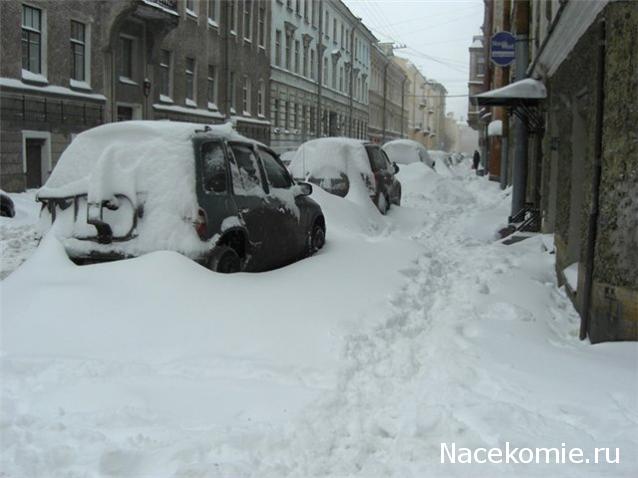 "Живой уголок"