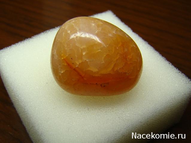 Компания кладоискателей. Болталка форума Минералов