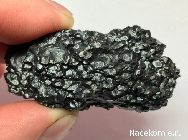 Компания кладоискателей. Болталка форума Минералов