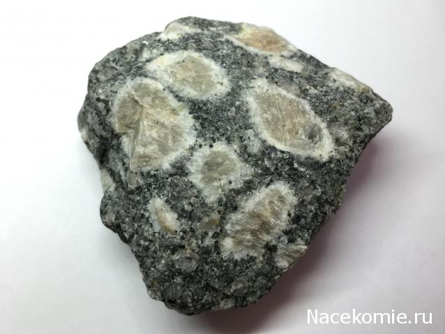 Компания кладоискателей. Болталка форума Минералов