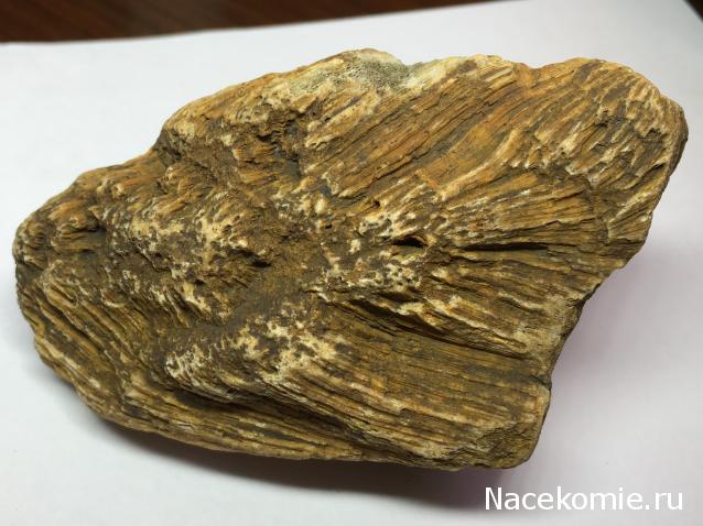 Компания кладоискателей. Болталка форума Минералов