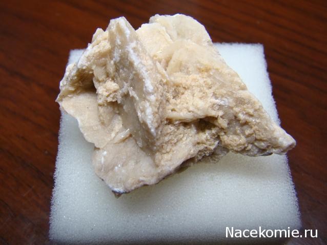 Компания кладоискателей. Болталка форума Минералов