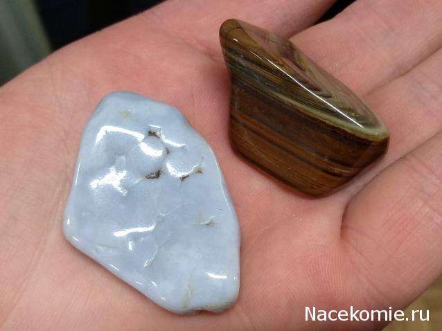 Компания кладоискателей. Болталка форума Минералов