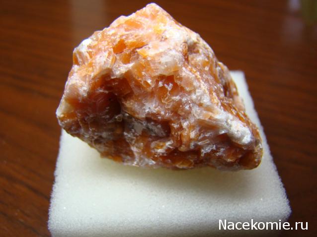 Компания кладоискателей. Болталка форума Минералов