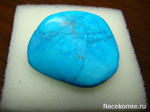 Компания кладоискателей. Болталка форума Минералов