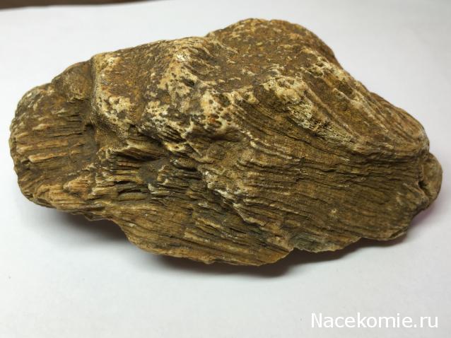 Компания кладоискателей. Болталка форума Минералов