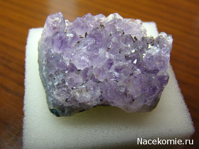 Компания кладоискателей. Болталка форума Минералов