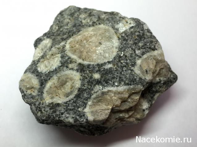 Компания кладоискателей. Болталка форума Минералов