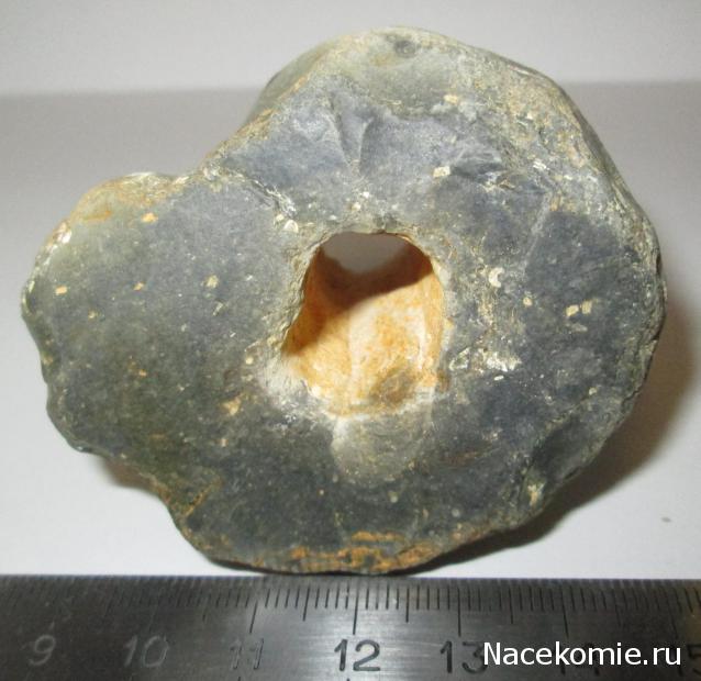 Компания кладоискателей. Болталка форума Минералов