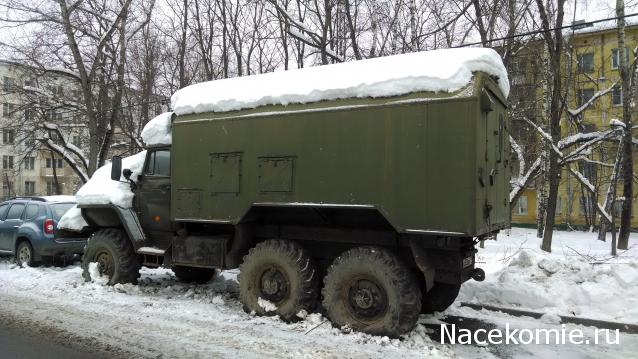 Автолегенды вживую