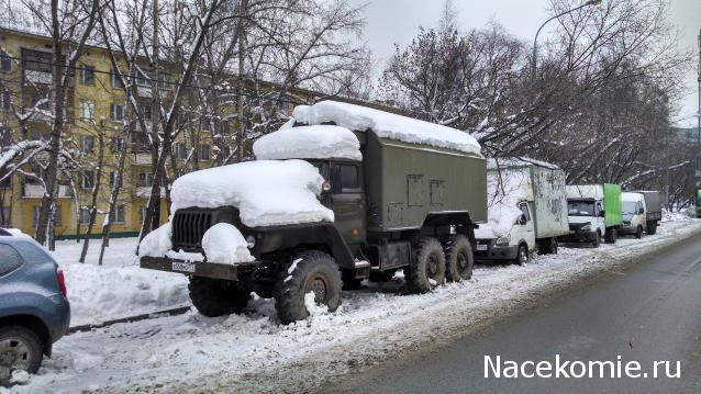 Автолегенды вживую