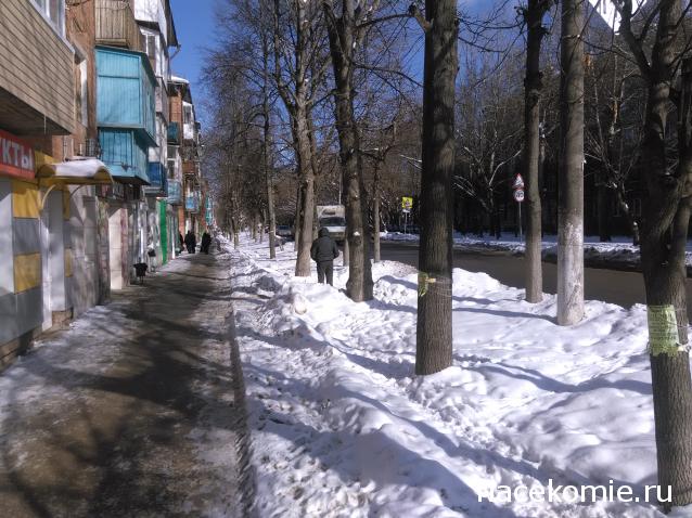"Живой уголок"