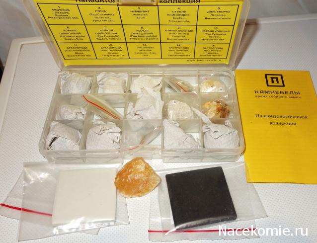 Компания кладоискателей. Болталка форума Минералов