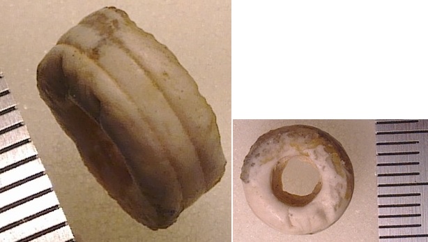 Компания кладоискателей. Болталка форума Минералов
