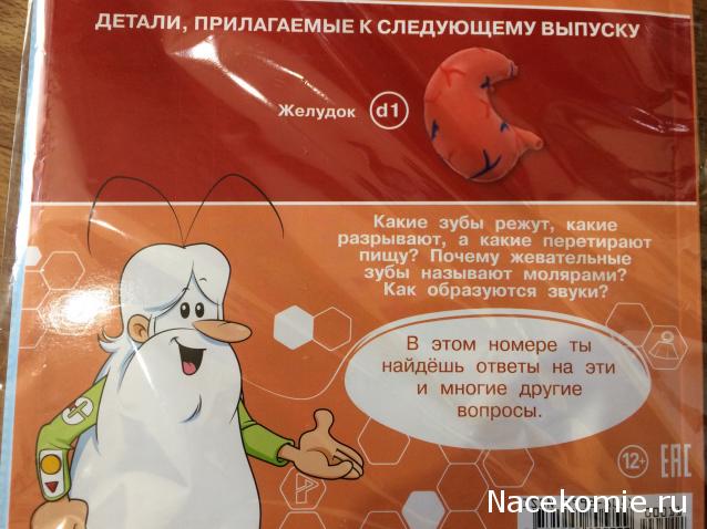 Тело Человека (DeAgostini) - График выхода и обсуждение