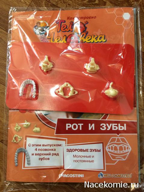 Тело Человека (DeAgostini) - График выхода и обсуждение