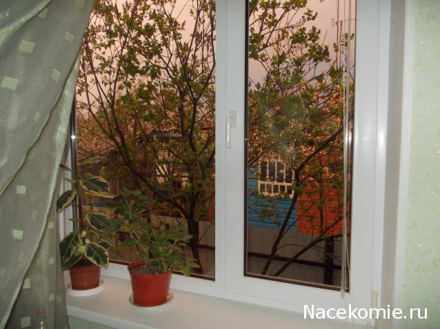 Куклы в народных костюмах – "Девчушки-болтушки"