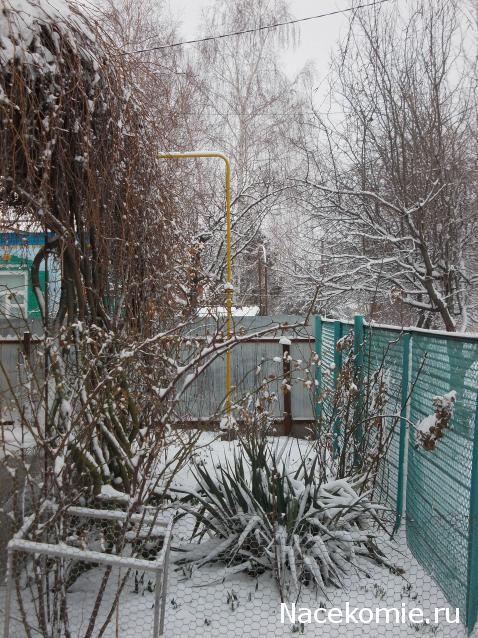 Куклы в народных костюмах – "Девчушки-болтушки"