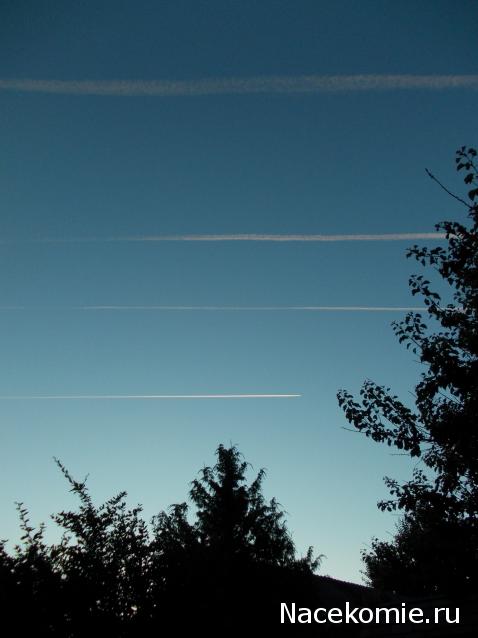 Куклы в народных костюмах – "Девчушки-болтушки"