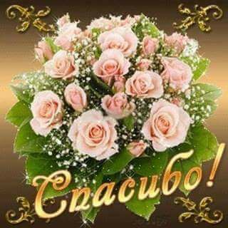 Праздник каждый день - поздравлялка Авторазделов